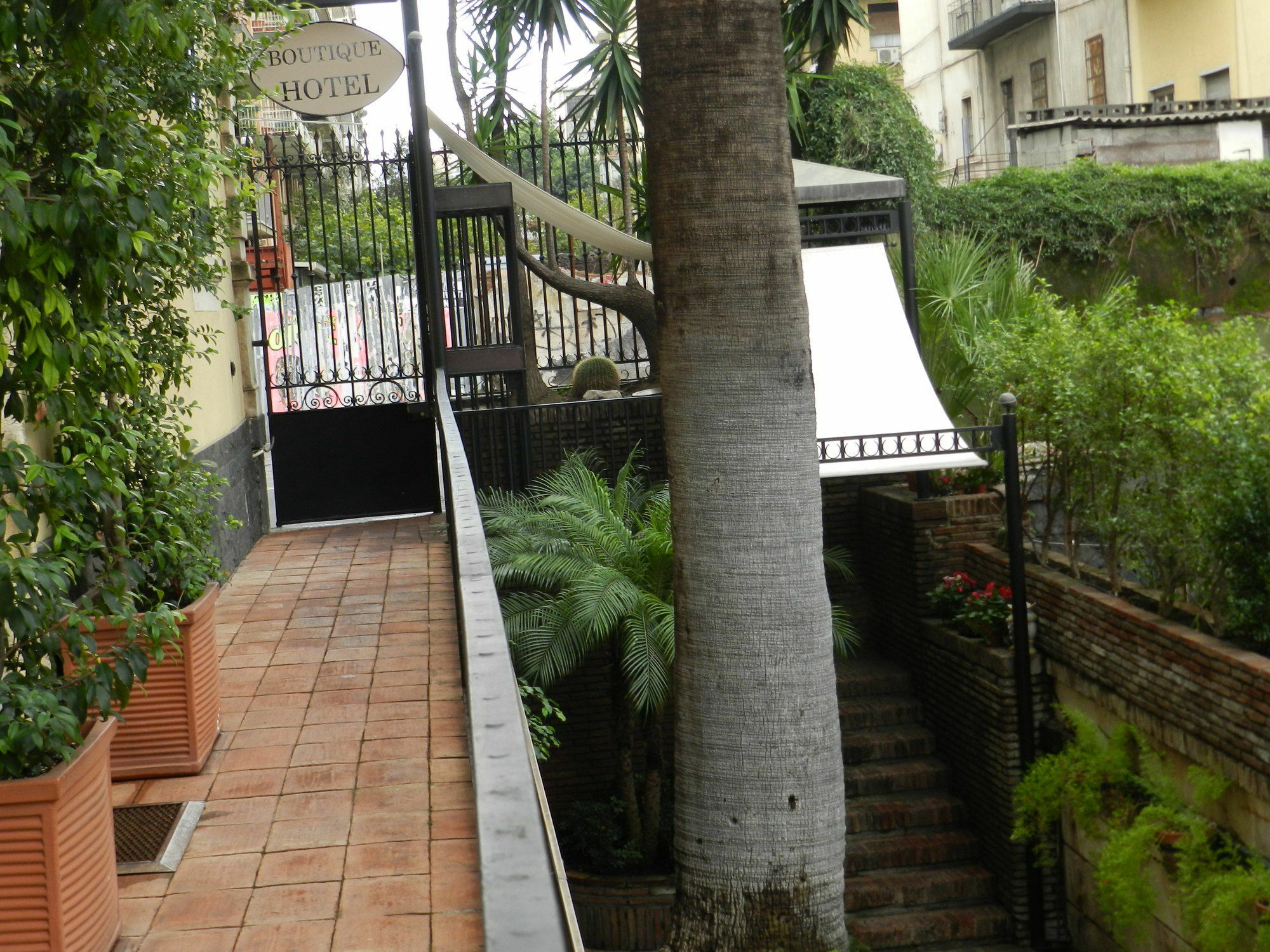 كاتانيا B&B La Vecchia Palma المظهر الخارجي الصورة